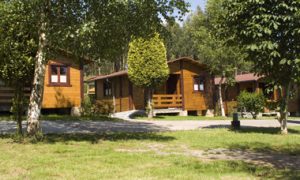 Lee más sobre el artículo Beneficios Psicológicos de acampar y la Vida al Aire