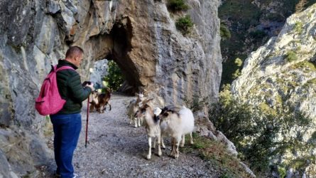 Ruta del Cares desde Camping Villaviciosa