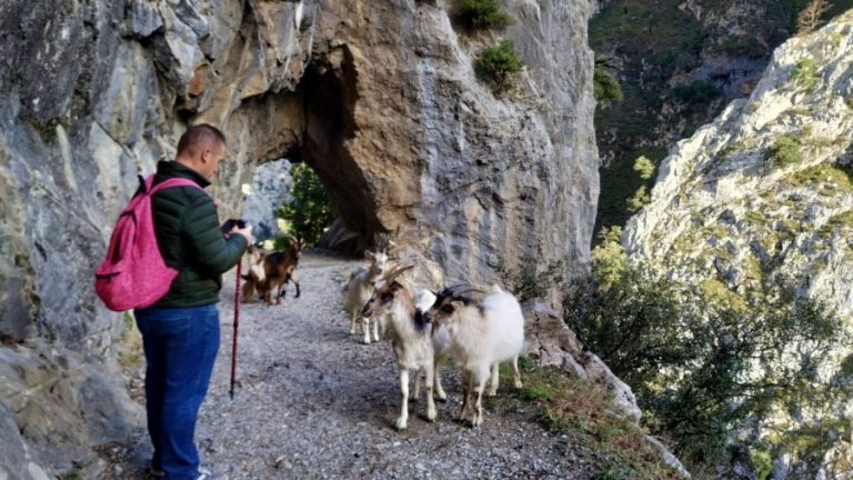 Lee más sobre el artículo Ruta del Cares desde Camping Villaviciosa