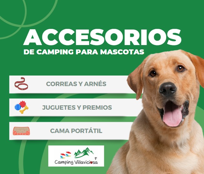 En este momento estás viendo Accesorios de Camping para mascotas